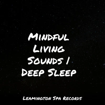 Massage Therapy Music/Nature Ambience/Hurricane & Thunder Storm SoundsMindful Living Sounds | Deep Sleep