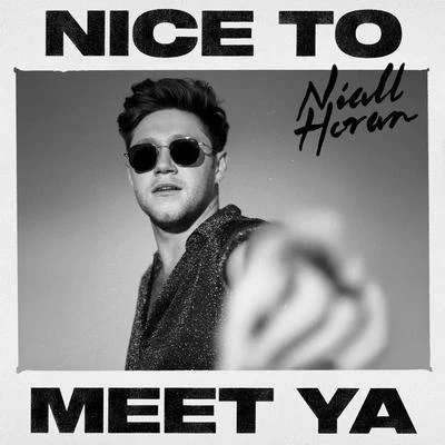 Niall HoranNice To Meet Ya