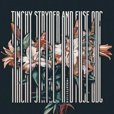 Amelle/Tinchy StryderImperfection