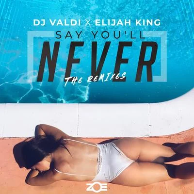 Estilo Libre/DJ ValdiSay You´ll Never (REMIXES)