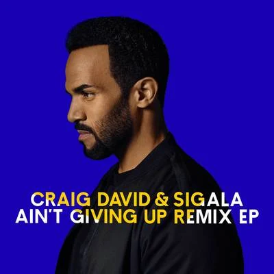 Sigala/Martin Jensen/KatoAint Giving Up (Remixes)