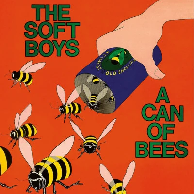 The Soft BoysA Can Of Bees