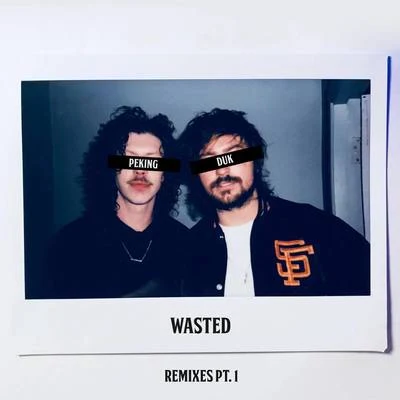 Peking Duk/Nicole MillarWasted (Remixes Pt. 1)