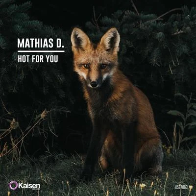 MYID/Mathias D./K.E.N.T.Hot For You