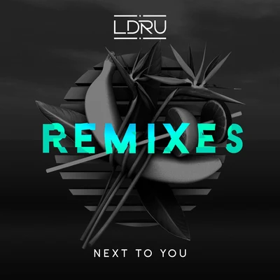 L D R UNext To You (Remixes)