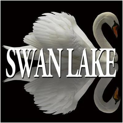 Alexander LazarevTchaikovsky : swan lake the sleeping beauty [excerpts]