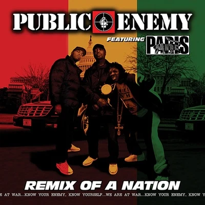 Public EnemyRemix of a Nation