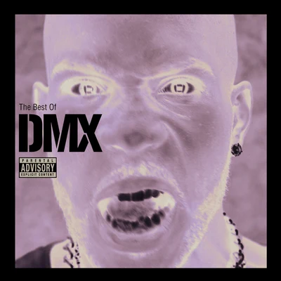 DMXThe Best Of DMX