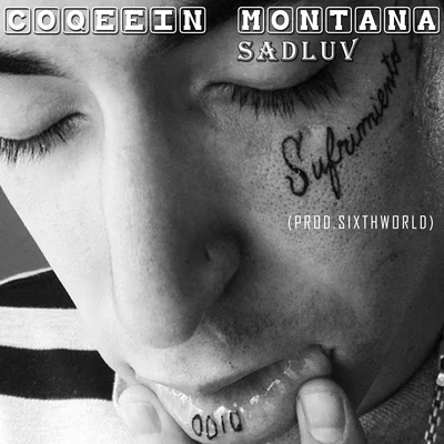 Coqeéin Montana/Big DeivSadluv