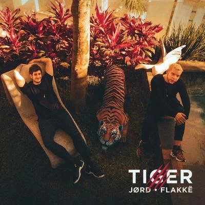 FlakkëTiger