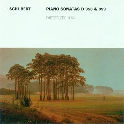 Wolf-Dieter Hauschild/Hans Bassler/Berlin Radio Chorus/Barbara Hoene/Dieter Zechlin/Soloists/Siegfried Lorenz/Gisela Pohl/Armin UdeFranz Schubert: Piano Sonatas Nos. 19 and 20 (Zechlin)