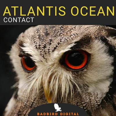 Atlantis OceanContact