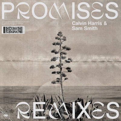 Calvin Harris/Big SeanPromises (Remixes)