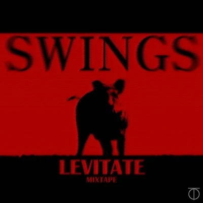 SwingsLevitate 1