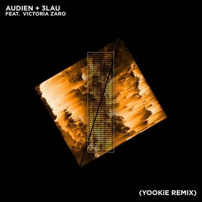 AudienHot Water (YOOKiE Remix)