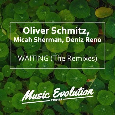 Oliver Schmitz/Angelo Ferreri/David Harness/Pachangastorm/Robert Owens/Ataxia/Jesus Nava/Shems Edine/Baraack/Option4Waiting (The Remixes)