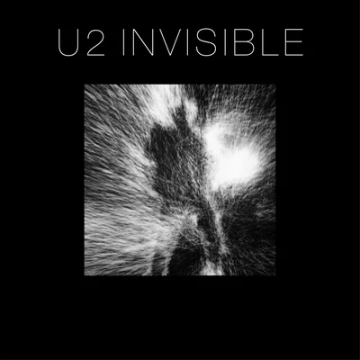 U2Invisible