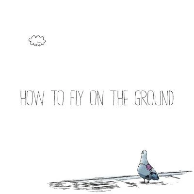 Vandelux/Emmit FennHow To Fly On The Ground