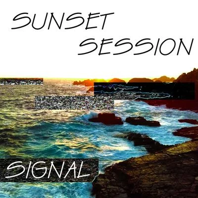 Signal/Carsten Nicolai/Byetone/alva noto/坂本龍一/Opto/Aleph 1Sunset session