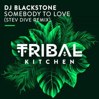 DJ Blackstone/Sean FinnSomebody to Love (Stev Dive Remix)