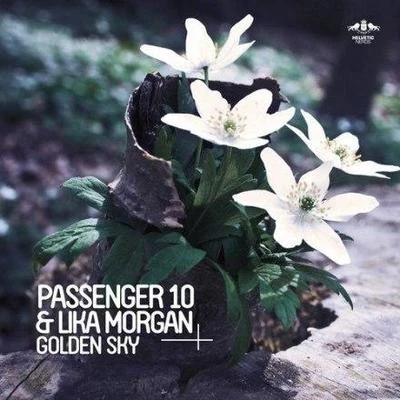 Passenger 10Anissa DamaliGolden Sky