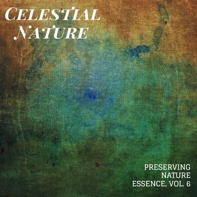 Nature Sounds/Rain Sounds For Sleep/White Noise MeditationCelestial Nature - Preserving Nature Essence, Vol. 6