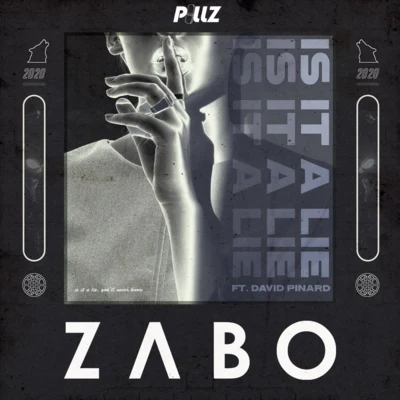 ZABO/Social KidIs It A Lie (feat. David Pinard)