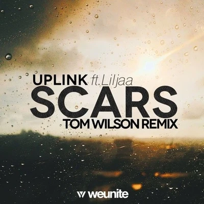 Tom WilsonFacadingK.O.RJagsyRudeLiesLil $aceJonthQuintino & BlasterjaxxVosaiLiFliScars (Tom Wilson Remix)