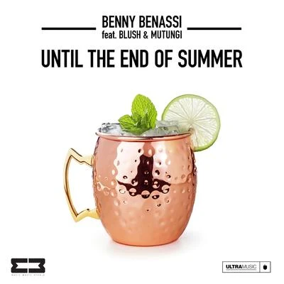 Stephan Jacobs/Benny BenassiUntil The End Of Summer