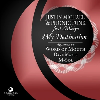 Justin MichaelAJ from Saint MotelMy Destination