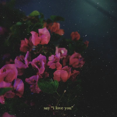 Demxntiasay "i love you"