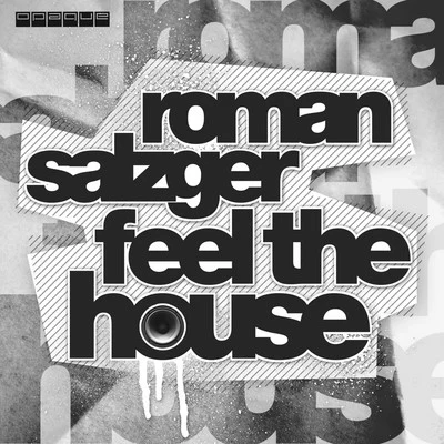 Roman Salzger/John Dahlback/Incognet/Futuristic Polar Bears/Vincent Vega/FOG/Danny Better/JOLLY/Deft Duo/Marc OneFeel the House