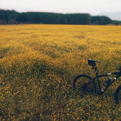 Musica Para Dormir y Sonidos de la NaturalezaSueño Reconfortante