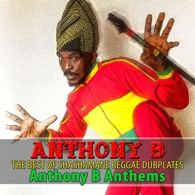 Anthony BThe Best of Shashamane Reggae Dubplates (Anthony B Anthems)