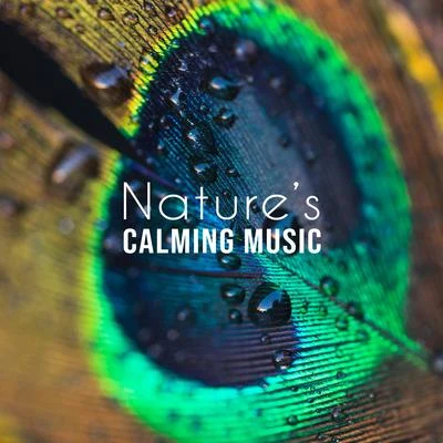 The Calming Sounds of Nature/Nature Sounds for Sleep and Relaxation/Nature Sounds ArtistsNature’s Calming Music - Collection of 15 Songs Deeply Relaxing, Soothing and Calming