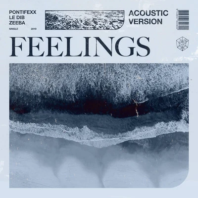 ZeebaFeelings (Acoustic Version)