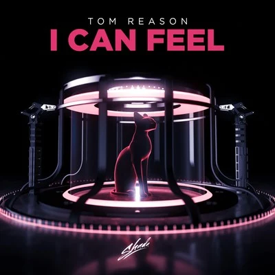 Tom ReasonI Can Feel