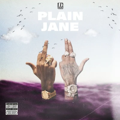 D-Block EuropeTion WaynePlain Jane