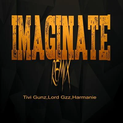 Tokischa/Tivi GunzImaginate (Remix)