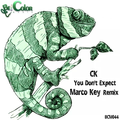 CKYou Dont Expect (Marco Key Remix)