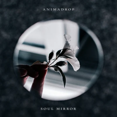 AnimadropSoul Mirror