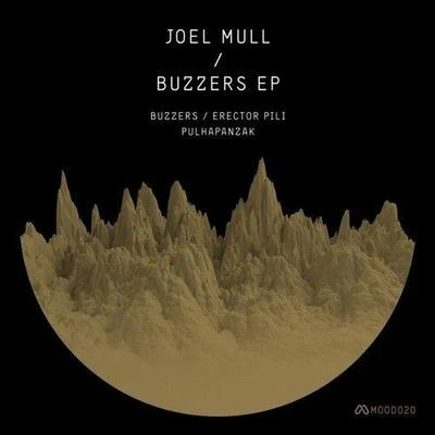 Joel MullBuzzers