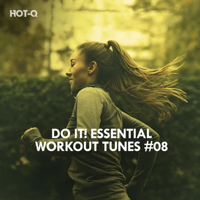 Hot-Q/The Fish House/Roque/Breno GontijoDo It! Essential Workout Tunes, Vol. 08