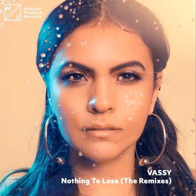 VassyNothing To Lose (The Remixes)