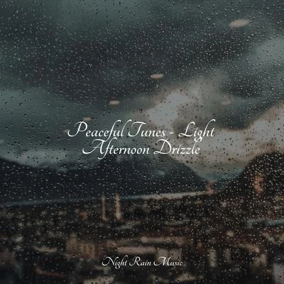 NaturezaPeaceful Tunes - Light Afternoon Drizzle