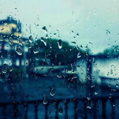 The Rain Library/Meditation Rain Sounds/Deep Relaxation Meditation AcademyRain Sounds Therapy: Real Rain Recordings