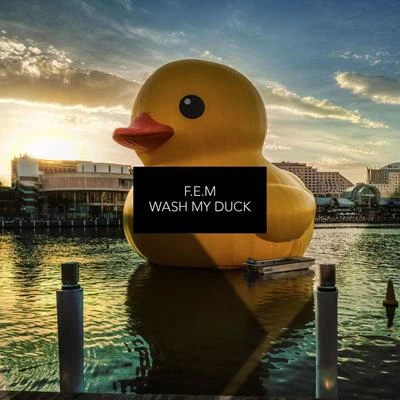 F.e.mWash My Duck