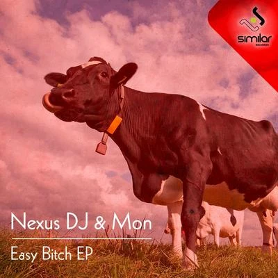 Nexus DjEasy