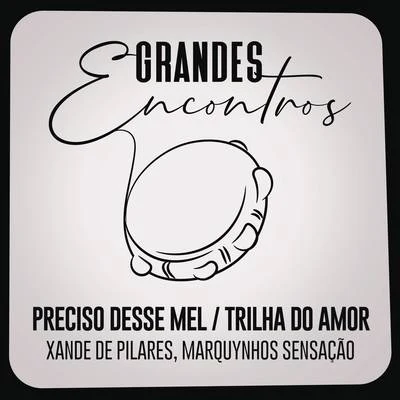 Xande de PilaresPreciso Desse MelTrilha do Amor