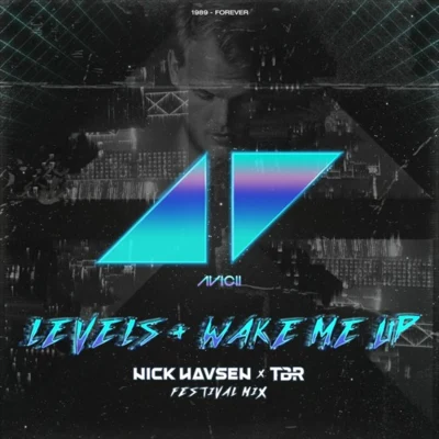 TBR/Simen/CapturamLevels+Wake Me Up (Nick Havsen & TBR Festival Mix)